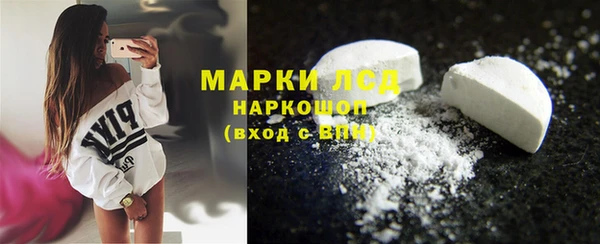 спайс Ельня