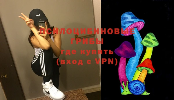 спайс Ельня