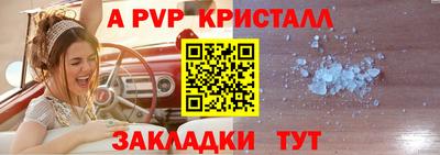 крисы Кингисепп