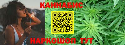 крисы Кингисепп