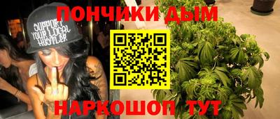крисы Кингисепп