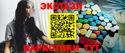 крисы Кингисепп