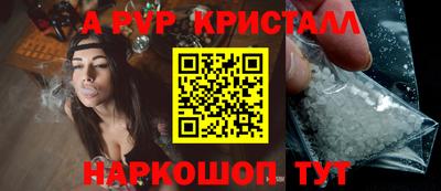крисы Кингисепп