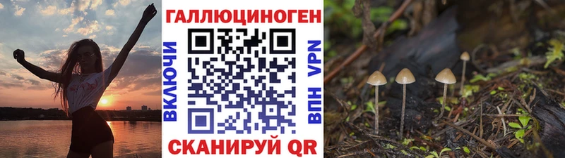 Галлюциногенные грибы Magic Shrooms  Заводоуковск 