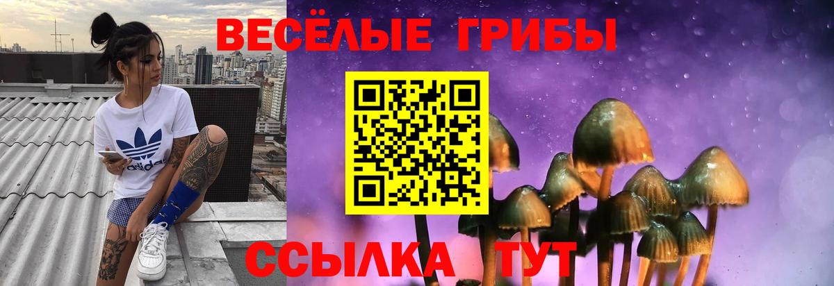 Заводоуковск  Псилоцибиновые грибы Psilocybine cubensis  Вход с VPN  Галлюциногенные грибы GOLDEN TEACHER 