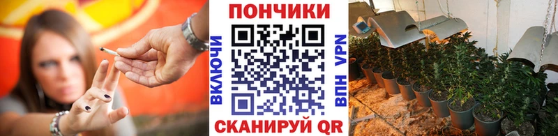хочу   Заводоуковск  Марихуана сатива 